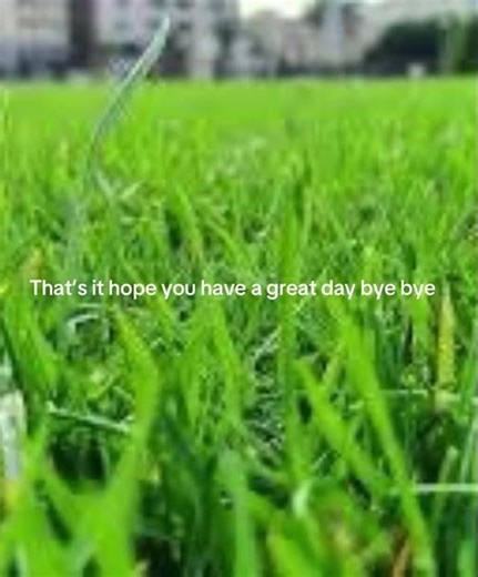 How to touch grass super easy tutorial