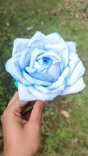Tissue Paper Rose | How to make a rose | flower making with paper #craft #diy #shorts