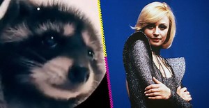 "Pedro, Pedro, Pedro": La rola italiana que se volvió viral en TikTok (gracias a un mapache)