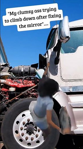 Mechanic: My Clumsy Self Trying to Climb Down After Fixing the Mirror