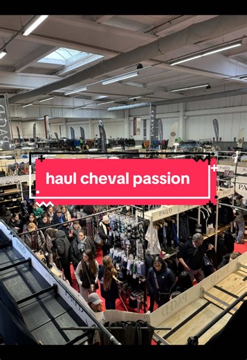 Explore the Exciting World of Equestrian Hauls