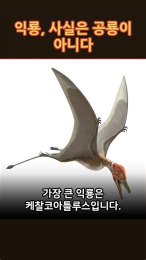익룡, 사실은 공룡이 아니다 #shorts