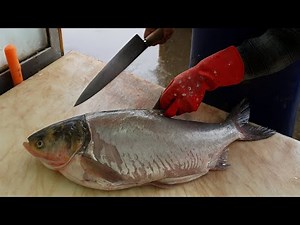 How to Skin & Fillet Fish Using Grandpa’s Method