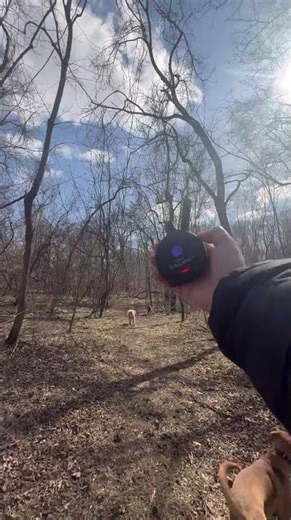 Snowflake - recall on a pack hike