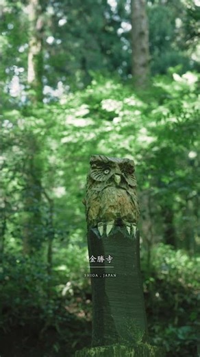 【滋賀 Japan】ここ、異世界感あります。