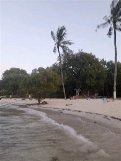 Stylish Job Interview Outfit Ideas