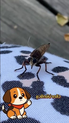 Giant mosquitoes are dangerous! Do not touch them.