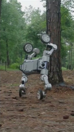 Galileo X: The 3-in-1 Robot That Redefines Mobility