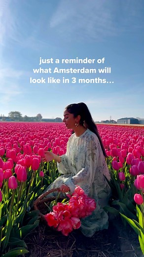 Aurélie | travel & fashion creator on Instagram: "- follow @aureliestory for more travel inspo & tips 🫶 - Amsterdam and its surroundings in April >>> Tag someone you’d bring there this spring 🌷🇳🇱"