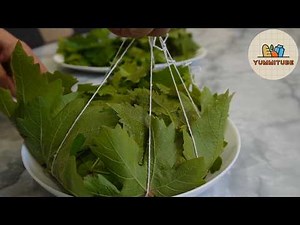 Food Made with Grape Leaves. Delicious Stuffed Grape Leaves: The Ultimate Bundle Recipe!