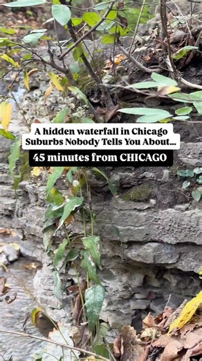 Wait… there’s a hidden waterfall right here in the Chicago suburbs?! 🤯💦 This mini cascade looks straight out of a fairytale — peaceful, tucked away in the woods, and completely free to visit! 🌿 Perfect for a quick weekend escape, easy hike, or a chill photo walk with friends. 🎒 Pro tip: Wear good shoes — the trail can get muddy near the falls. 📸 Viral shot idea: capture the waterfall framed by the bridge or trees for that dreamy shot 🌈 📍 Blackhawk Waterfall – 600 S McLean Blvd, Elgin, IL 