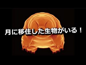 月に移住した生物がいる！今も宇宙空間で生き残る生物の正体は…