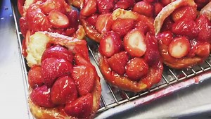 Handmade every day since 1972 | The Donut Man