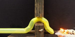 This inflatable robot snake creeps through tiny spaces and could help with search and rescue missions