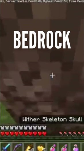 MINECRAFT BEDROCK VS JAVA #minecraft #humor #parati