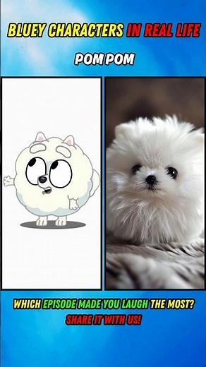 What If Bluey Was Real? 🐶 Bluey Characters in Real Life!