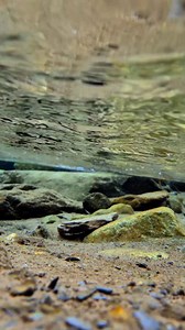 1M views · 32K reactions | Beautiful view of under water | Mountains View | Facebook