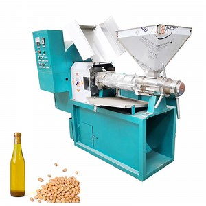 [Hot Item] Automatic Expeller Oil Extractor Home Use Oil Press Machine for Sesame Drying Coconut Meat Oil Press Machine