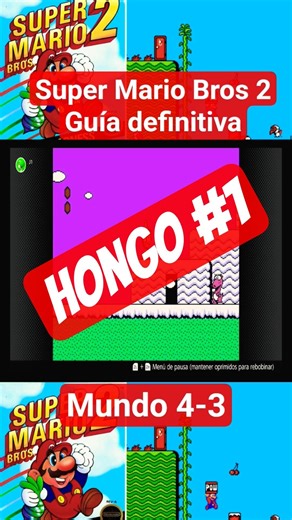 Super Mario Bros 2: The Definitive Guide #30