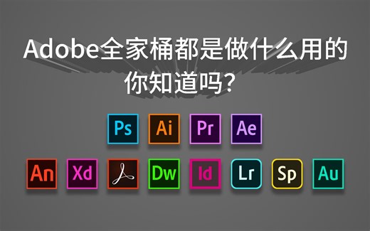 【一分钟快速了解】强大的Adobe全家桶软件都是做什么用的，你知道吗？PS PR AI AE DW ID AN XD LR AU SP...