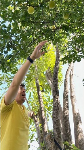 Gaming History for February 1st - Curious George!