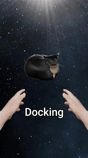 Cat Docking interstellar meme #blender3d #memes