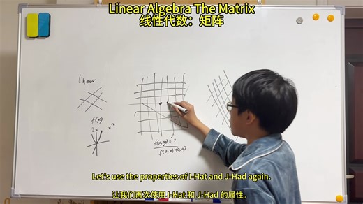 Linear Algebra The Matrix 线性代数：矩阵
