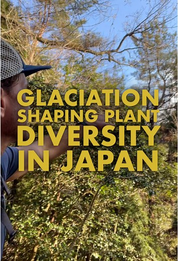 Japan's Unique Biodiversity Explained through Geology