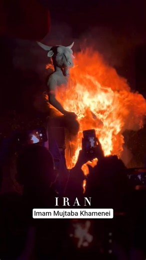 Iran Night Rally: Honoring the Path of Resistance 🚩 #shortvideo v#viral