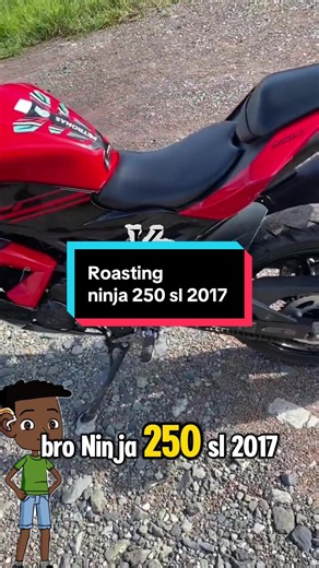 Roasting Ninja 250 SL 2017: Comedy and Insights