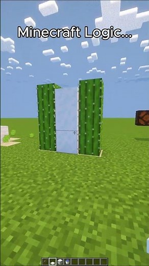 Minecraft Logic Part 2 #backrooms #minecraft