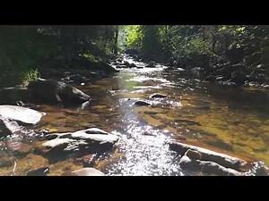 Purzelkamp Rastenberg