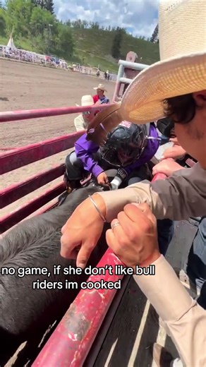 andreas_bull on TikTok