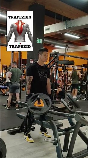 The Ultimate Trapezius Muscle Workout Guide