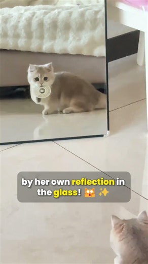 Her First Time Seeing a Mirror! 🙀