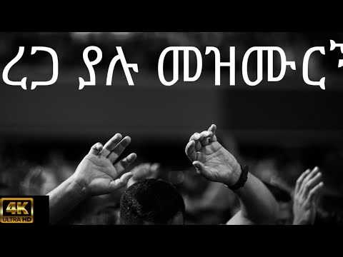 ረጋ ያሉ መዝሙርች |New Protestant Mezmu | Gospel Songs Mezmur | Cjtv 4K Video Slow Worship