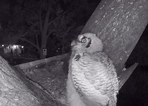 10K views · 451 reactions | Tough love. Just after midnight Friday...