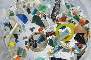 International Marine Litter Research Unit