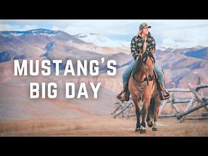 How Will This Go? Riding My Mustang Out Of The Corral!