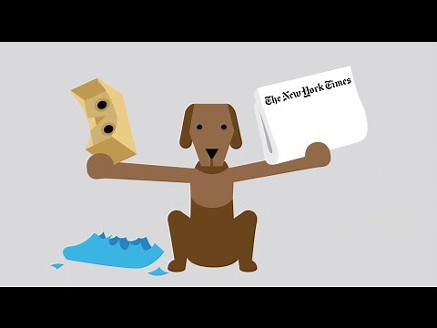 NYT VR: Transforming the Storytelling Experience