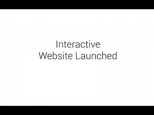 Interactive Website Design & Development