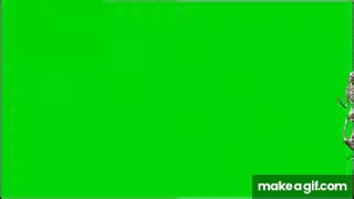 RUNNING SKELETON-GREEN SCREEN on Make a GIF