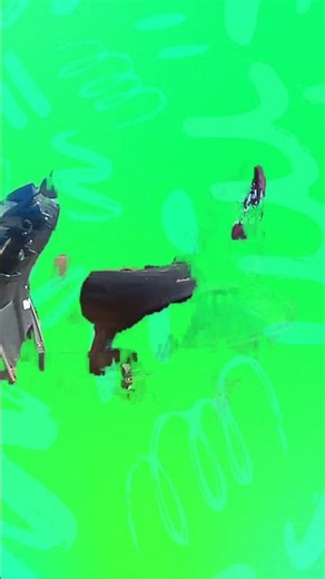 17 जनवरी 2026