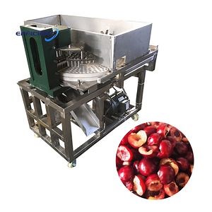 [Hot Item] Automatic Date Pitting Machine Jujube Olive Seed Core Removing Machine