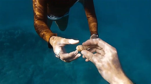 This shell was too perfect… something felt off