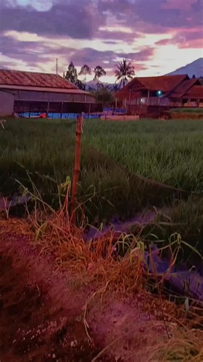 stenang ini kah pendosa mengdengarkan ayat alquran🥹🥹 #exsploregarut #garutvibes #perkampungan #pedesaan