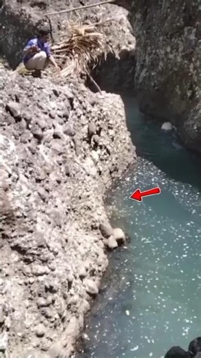 strike but loose #fishing #riverfishing #fyp #shorts