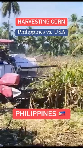 343K views · 1.1K reactions | Harvesting Corn Philippines vs USA #Philippines #usa #farming #farmlife #corn #cornharvesting #cornharvester #technology #farmtechnology | Arvin B. Montilla | Facebook