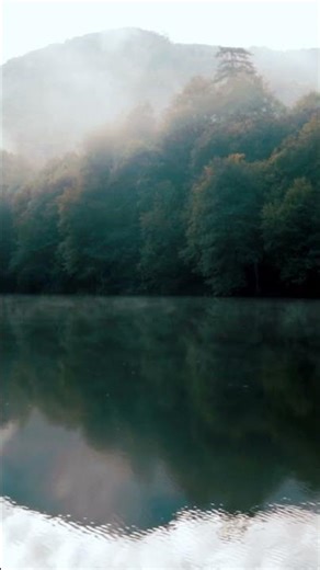 God’s Unbreakable Contract... 📜 | Genesis 9:11 NKJV