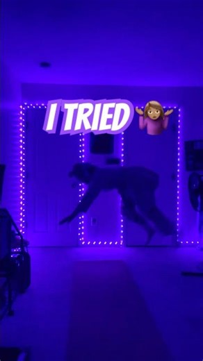 Bebe Rexha - New Religion #fitness #fitnessmotivation #fun #workout #pushups